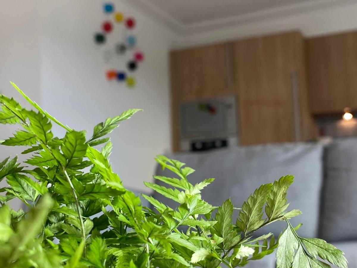The Duplex Nairn- Spacious 3 Bedroom With Sunny Balcony Ngoại thất bức ảnh